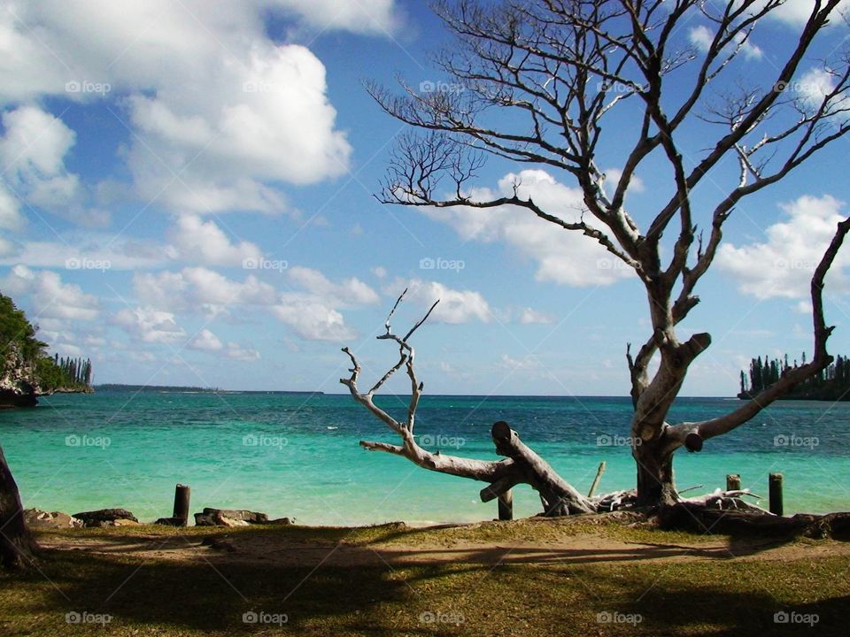 Seaside new Caledonia
