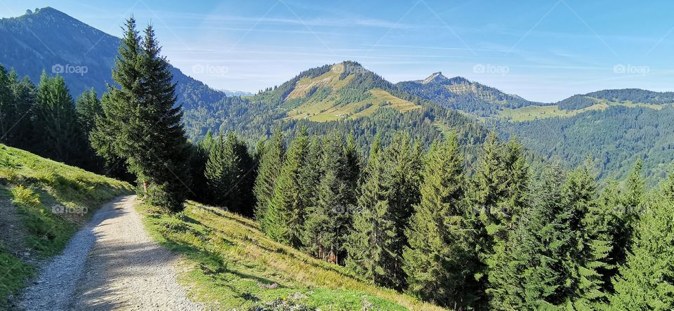 Unterwegs auf den Regenspitz