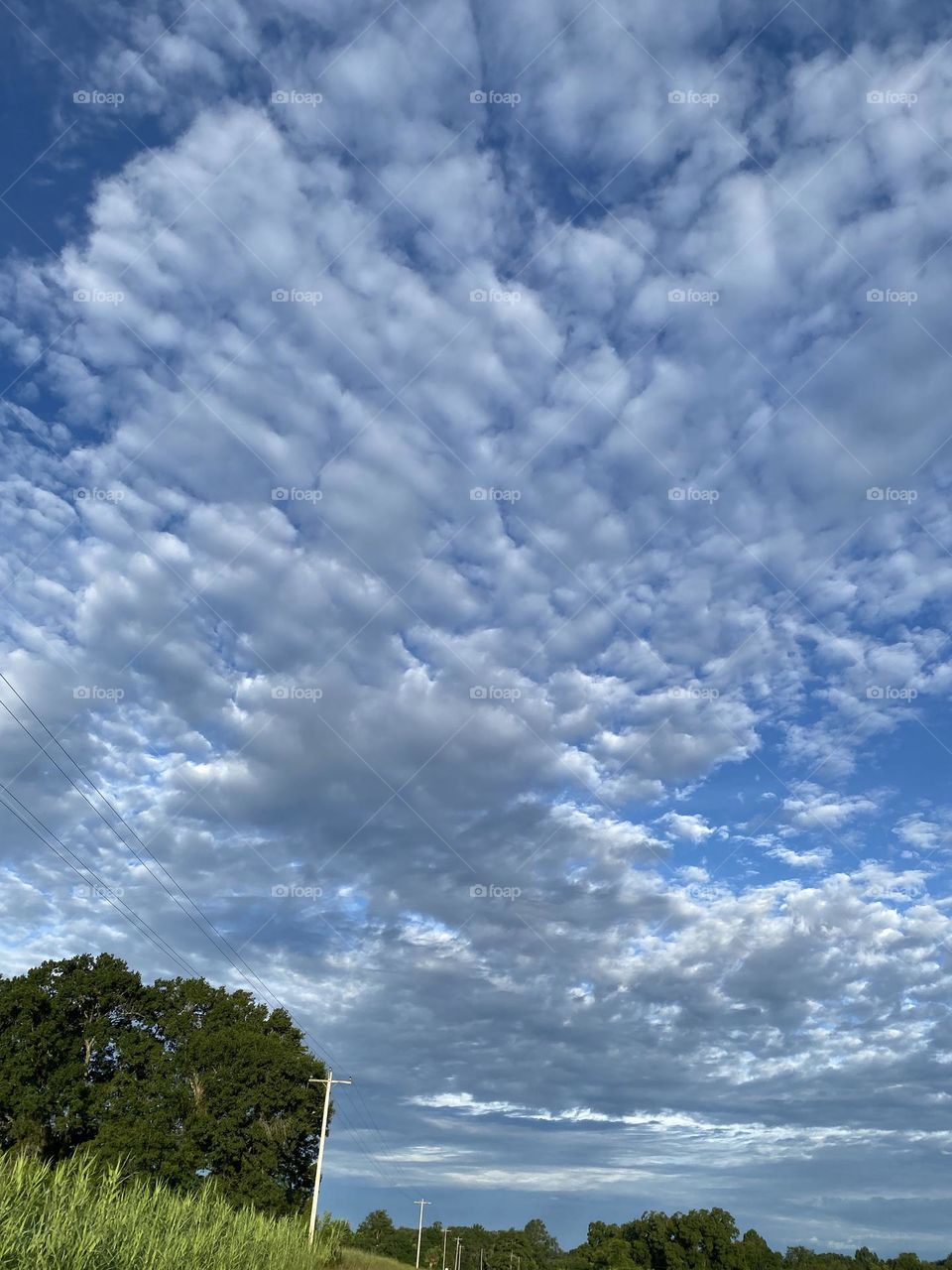 The sky in all her beauty 