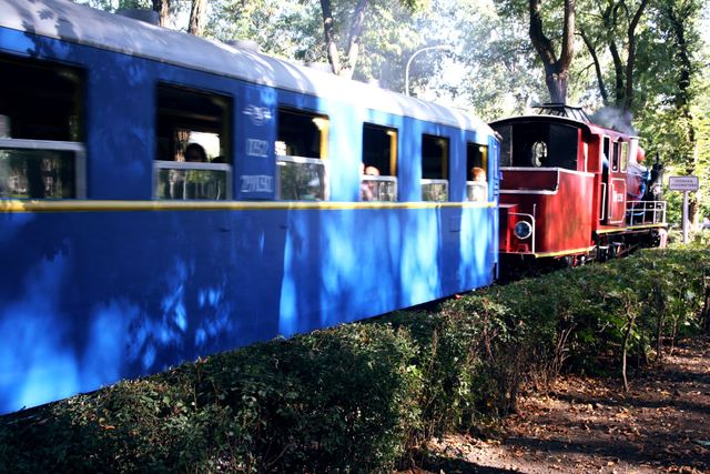 Railway for children in the park