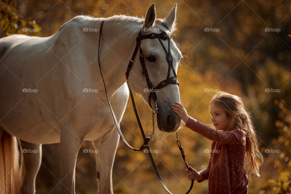 Little girl with grey horse in an autumn park 