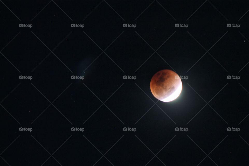 super blue blood moon