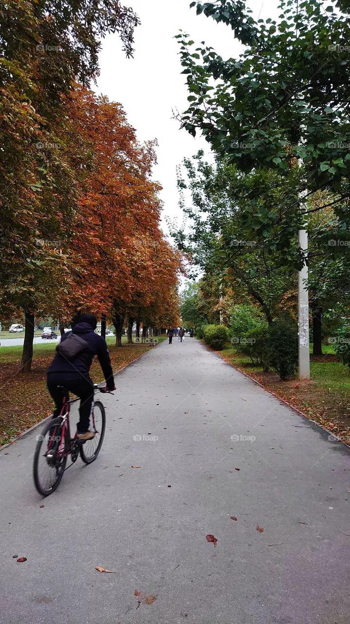 Moods of autumn