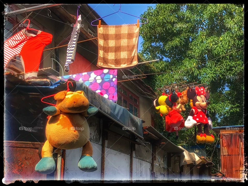 Mickey Mouse and pig on wire ... who said pigs cannot fly?  They can in the back alleys of old Shanghai... walking in Xiaonanmen (小南门）area