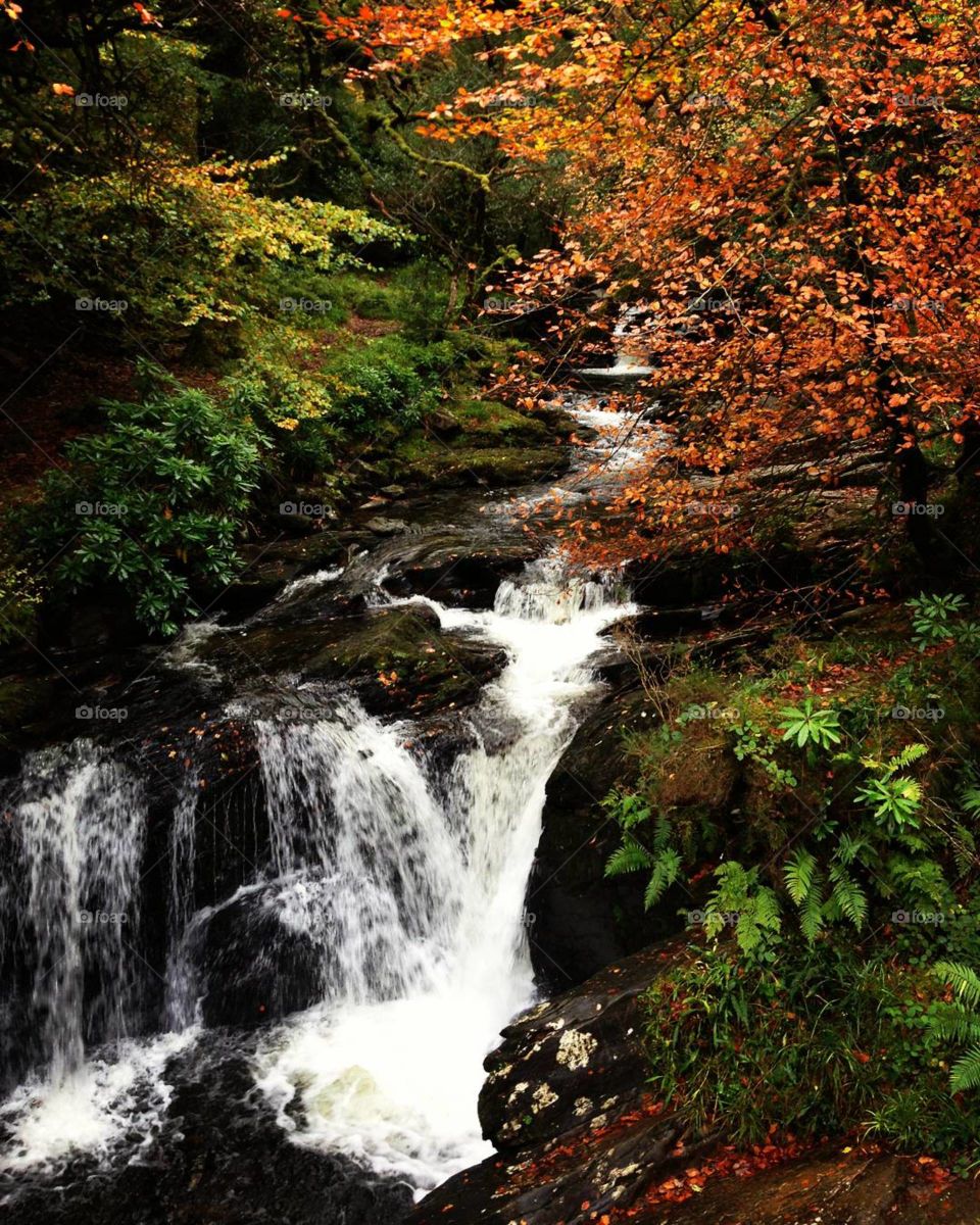 Torc Waterfall. Killarney National Park. Ireland