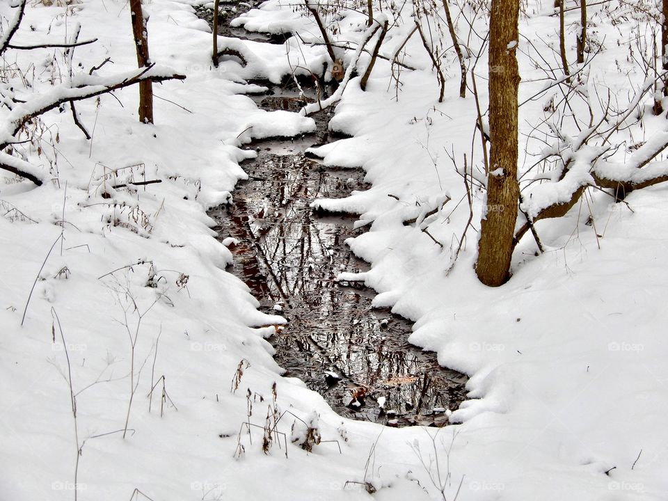 Beautiful snow in the forest on a winter day in Indiana with a little water reflecting the snow 