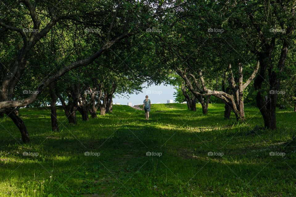 Girl walking in the forest