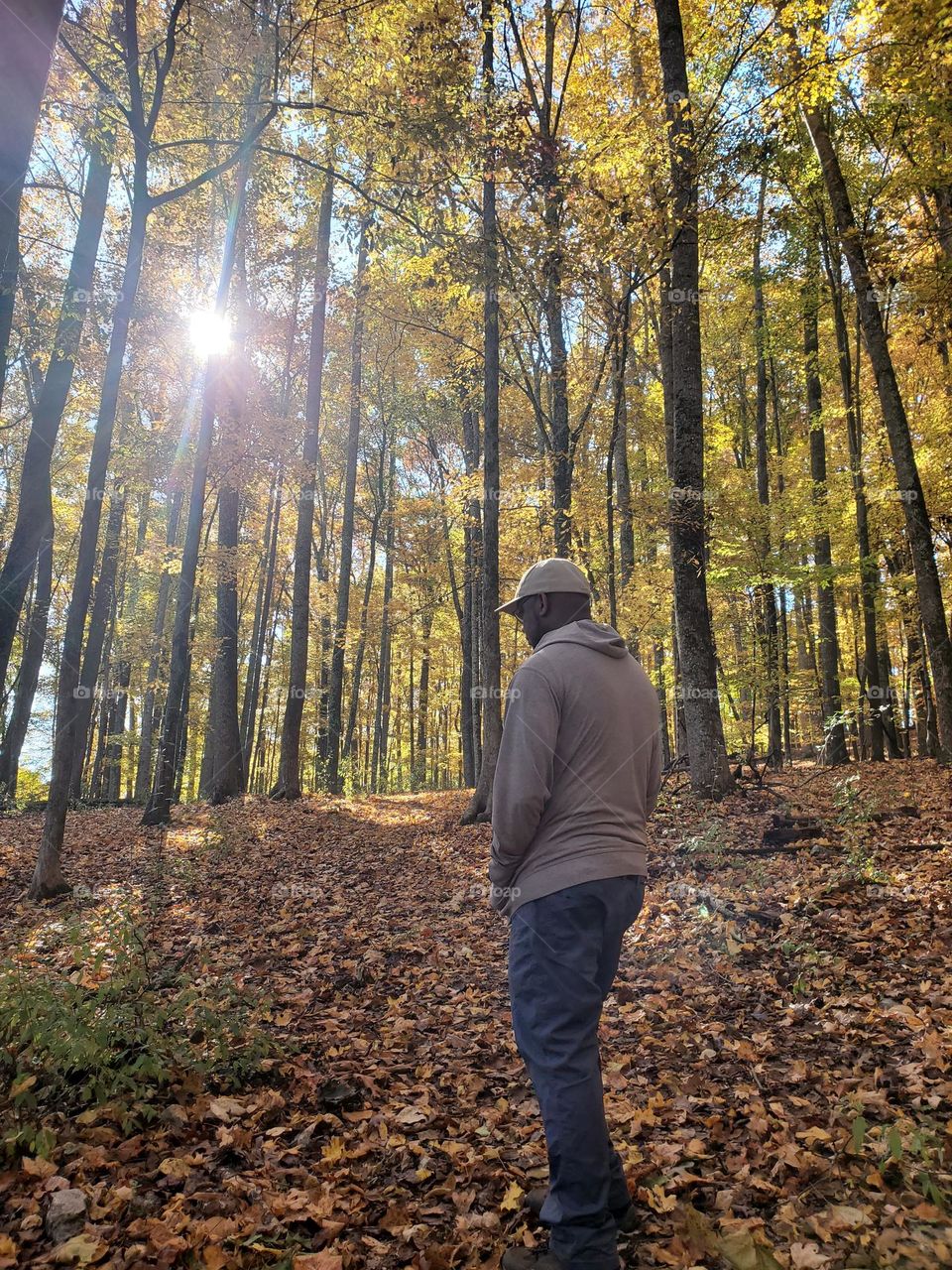 man in sunlit forest in fall