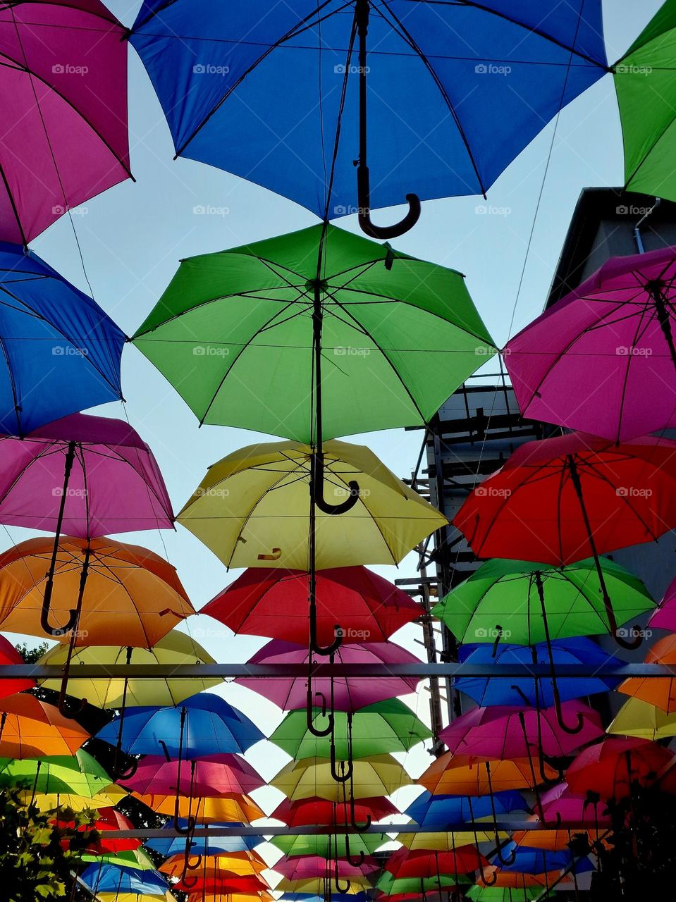 Colored Umbrellas