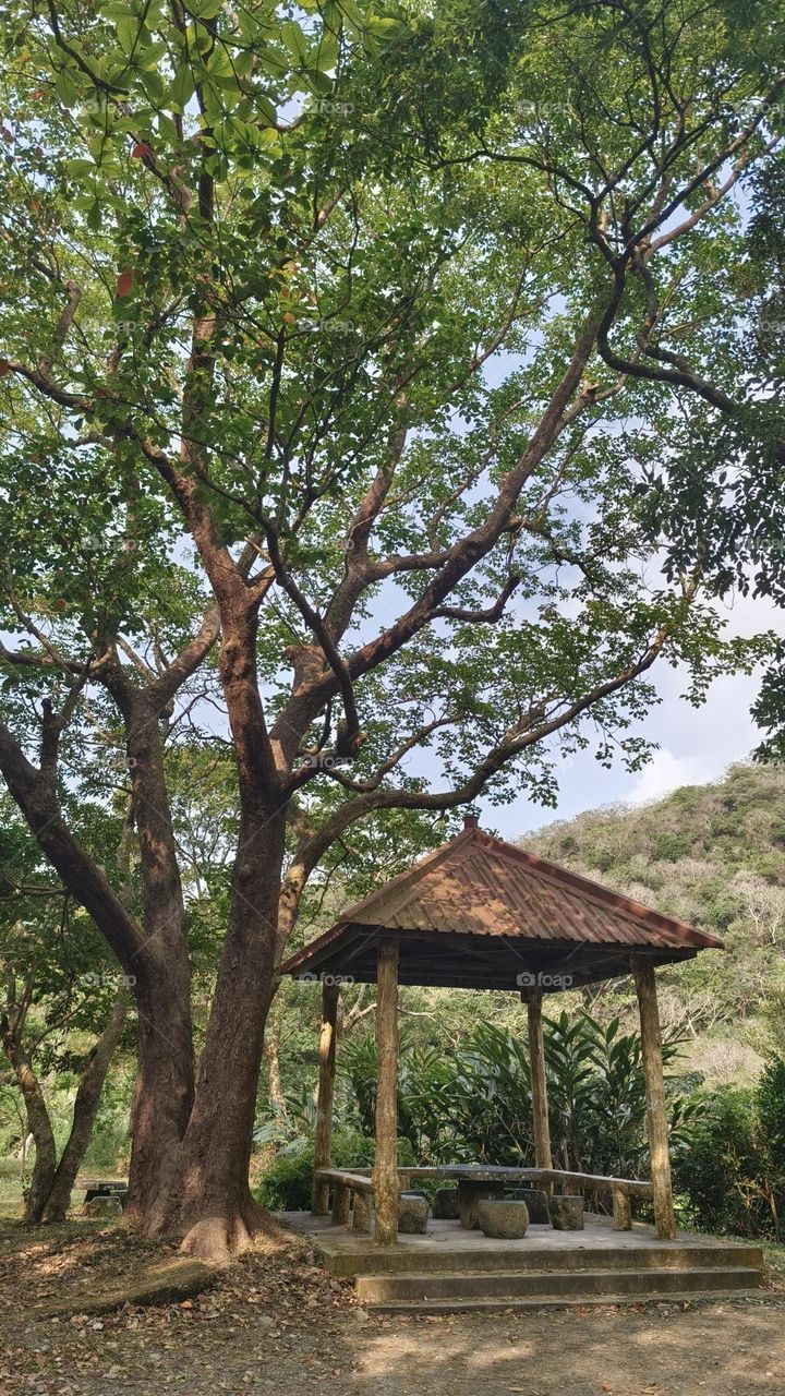 Pavilion in Shuangliu National Recreation Area