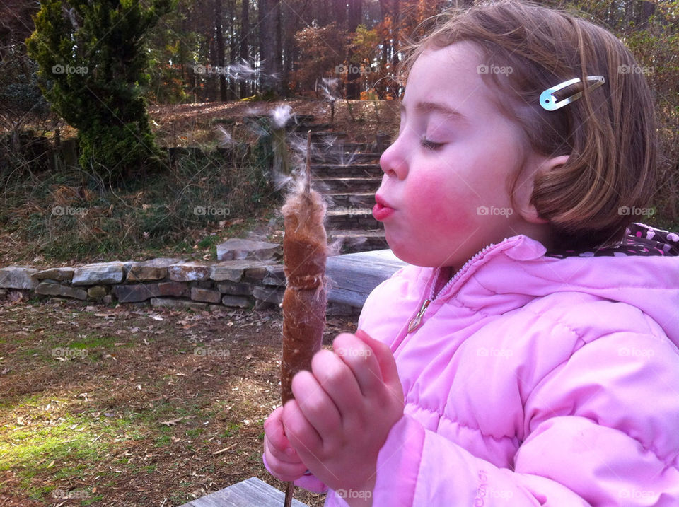 child forest park woods by cable