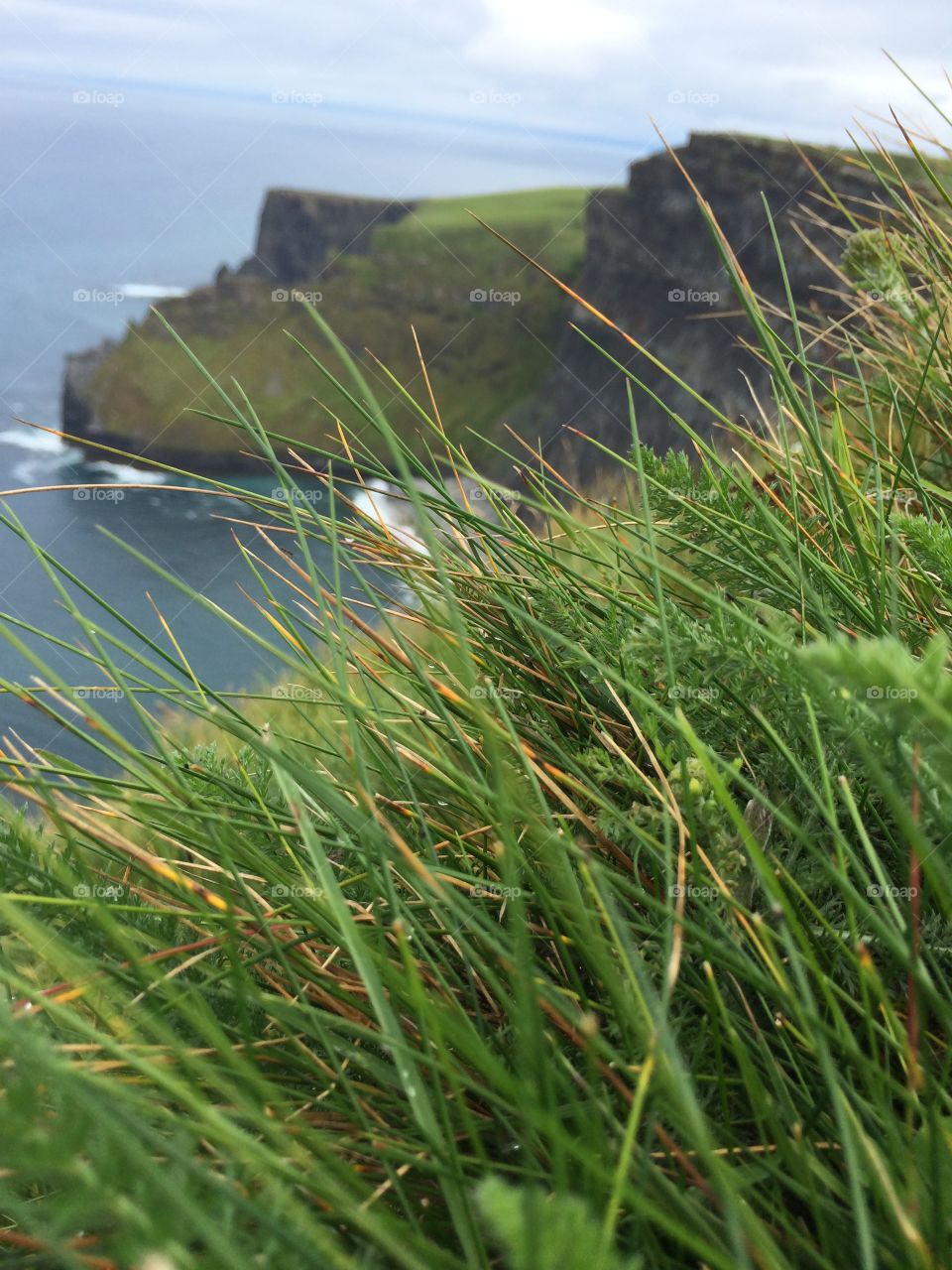 Cliffs of Moher