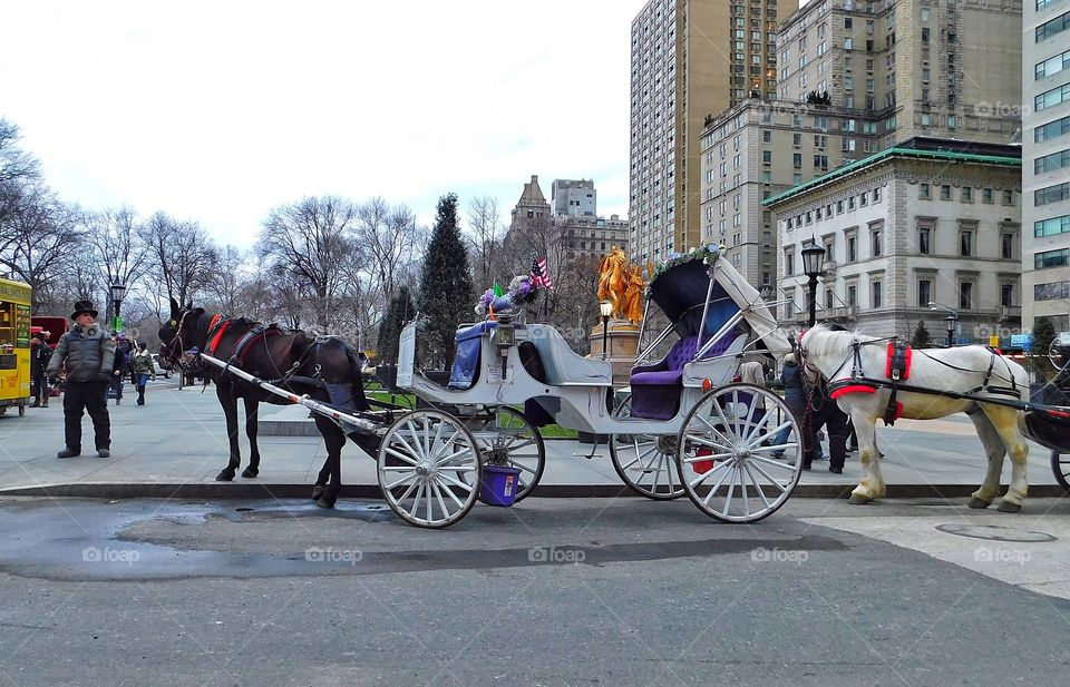 Horse and buggy