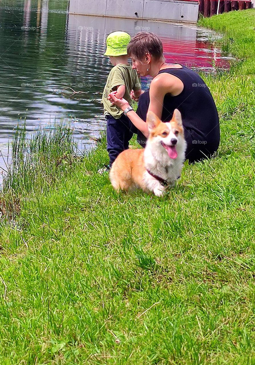 Owners and their dogs.  A woman sits on the green bank of the river and examines the hand of a little boy who is standing.  A dog runs merrily on the green grass