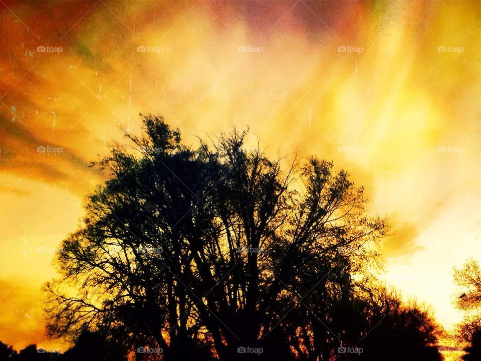 dawn