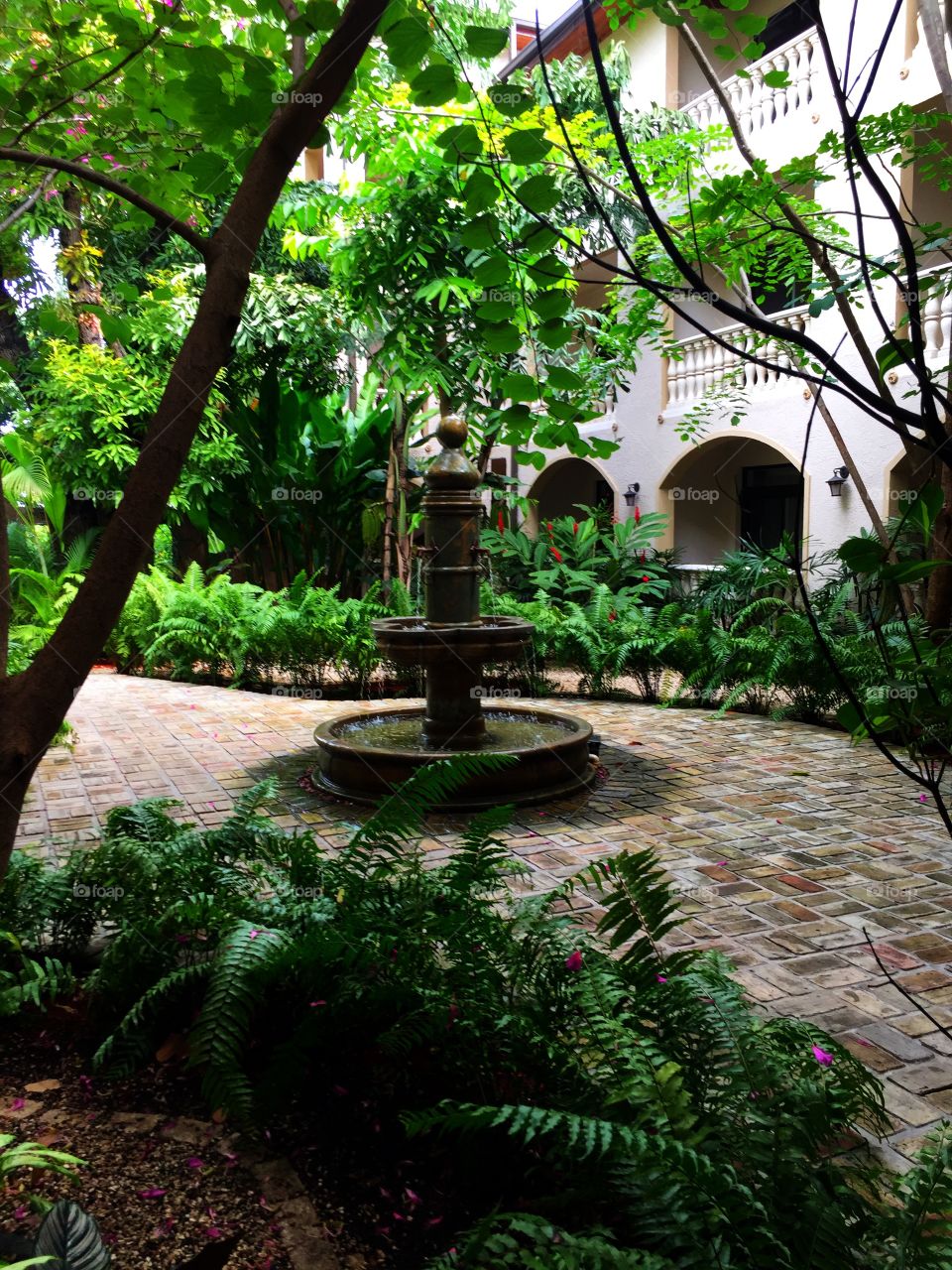 Beautiful tropical courtyard