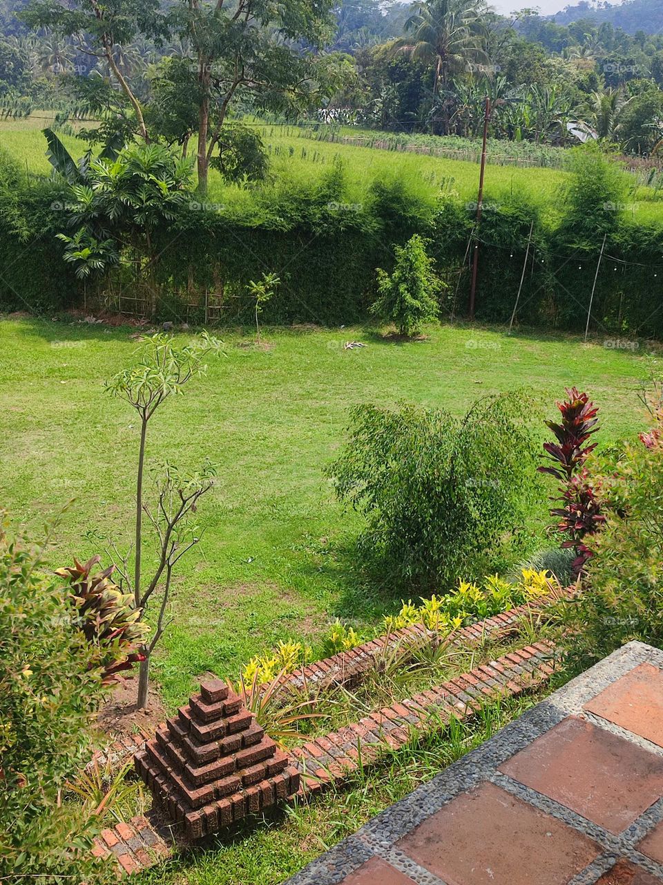 beautiful garden view