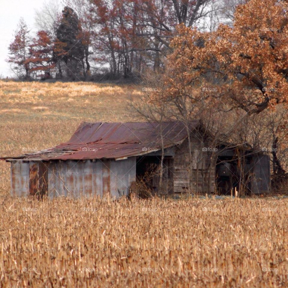 Lonesome Barn