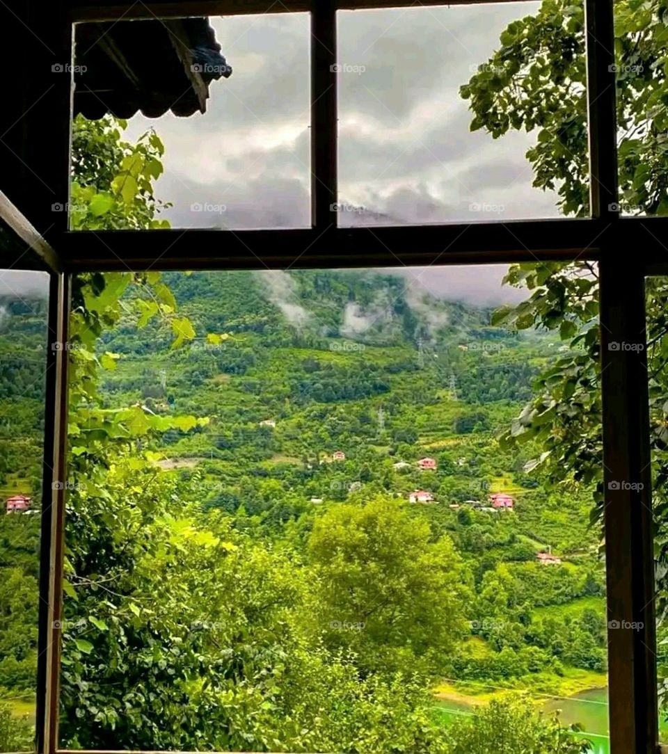 A very beautiful picture, and there is no better picture than it. There is no better picture of green herbs and colorful, red and white roses than it. Glory be to God, the natural and picturesque view, and there is no more