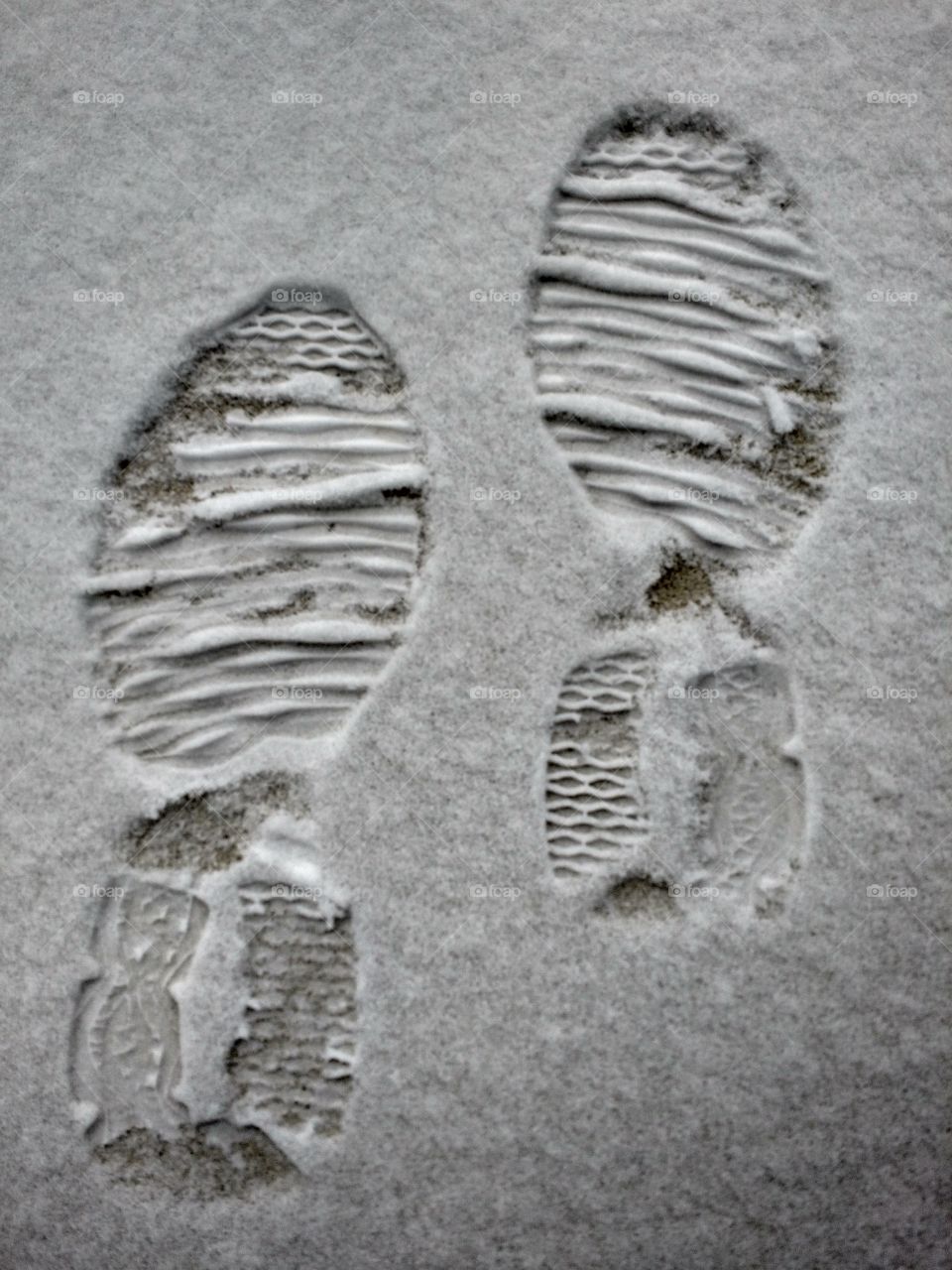 shoe print. winter