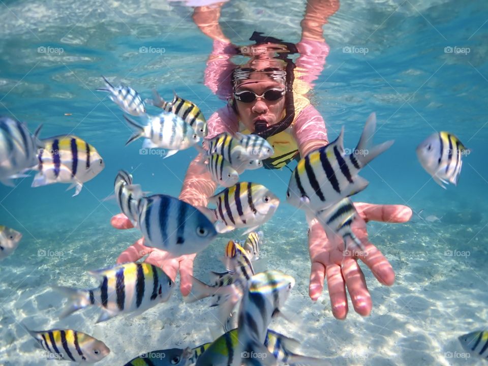 Sattahip,Chon Buri/Thailand-November 24 2019:Colorful under sea world with Anemone Fish  at Samae San island