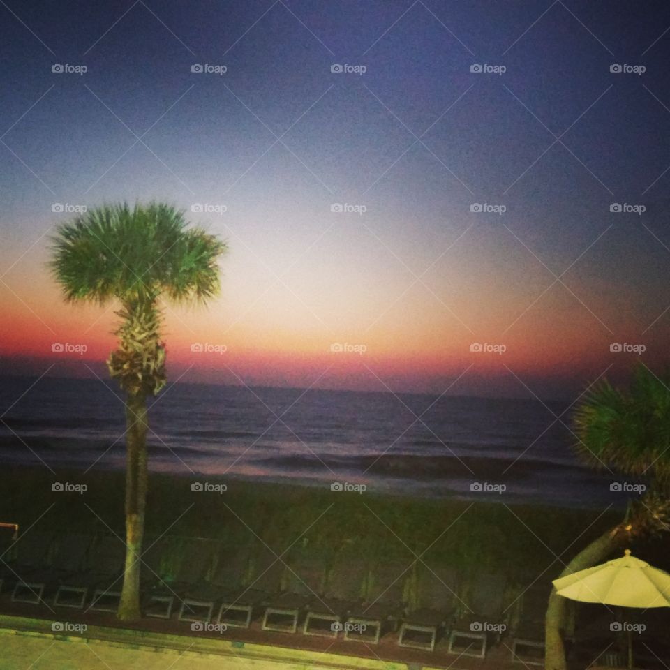 Sunrise, ocean view, and a Palm tree...perfection