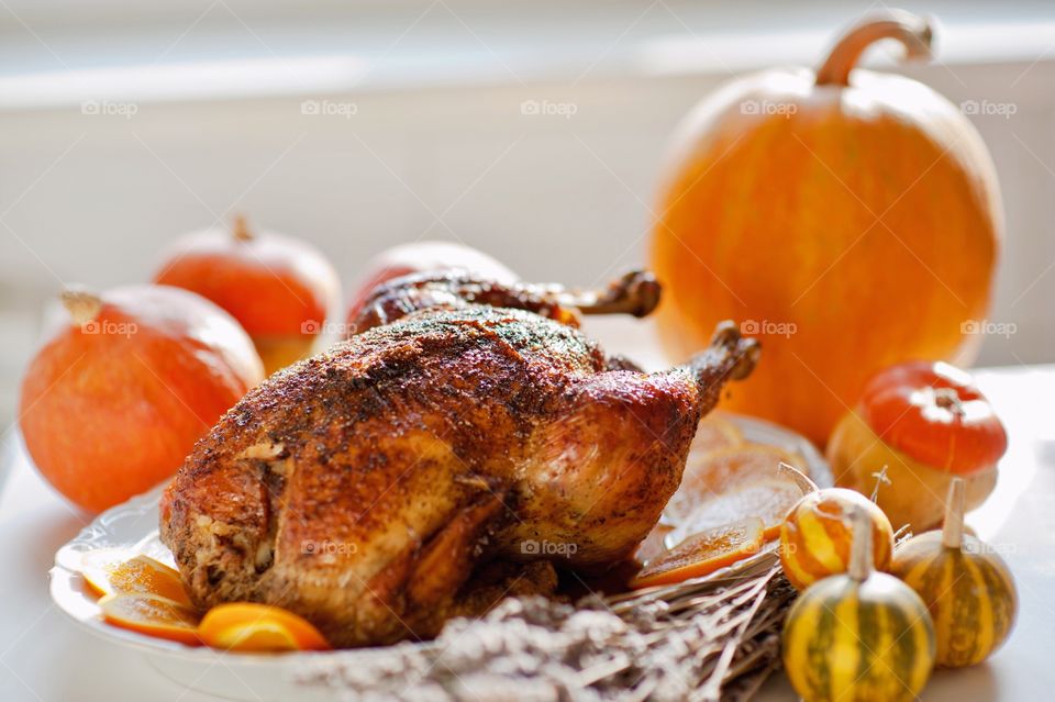 turkey, pumpkin, Thanksgiving, chicken, grill, pumpkin, holiday,