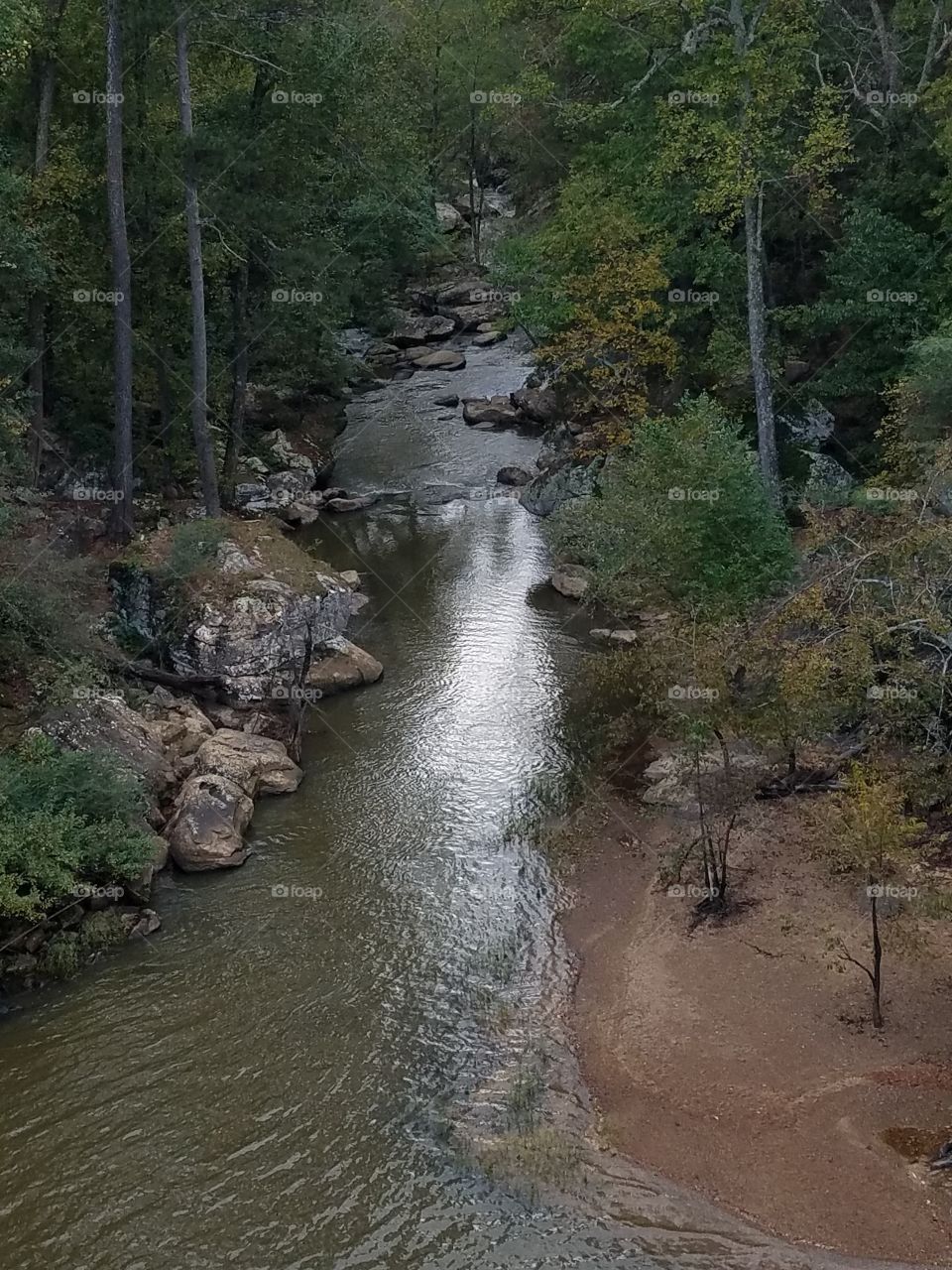 creek scenery
