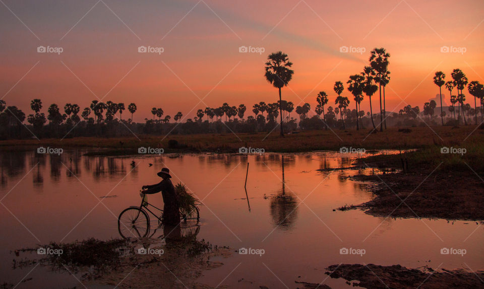 Cambodian countryside sunset 