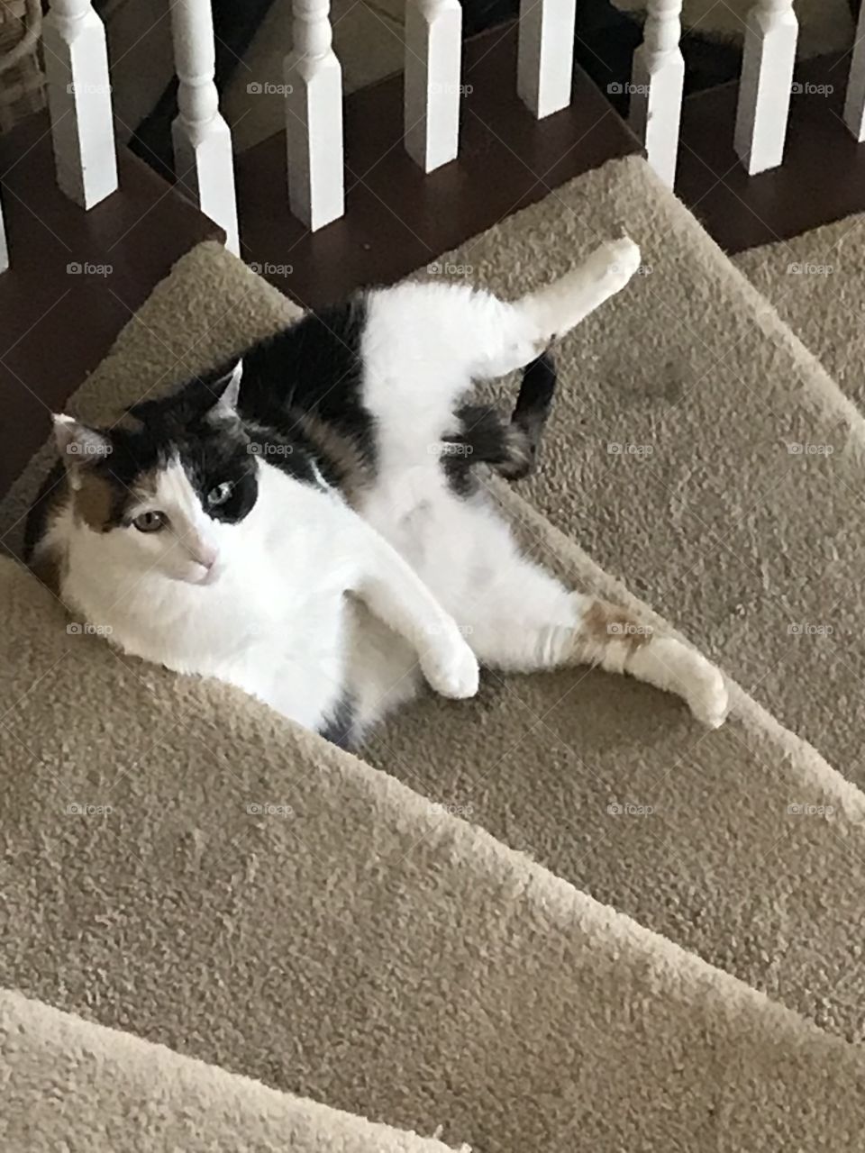 Relaxing on the stairs 
