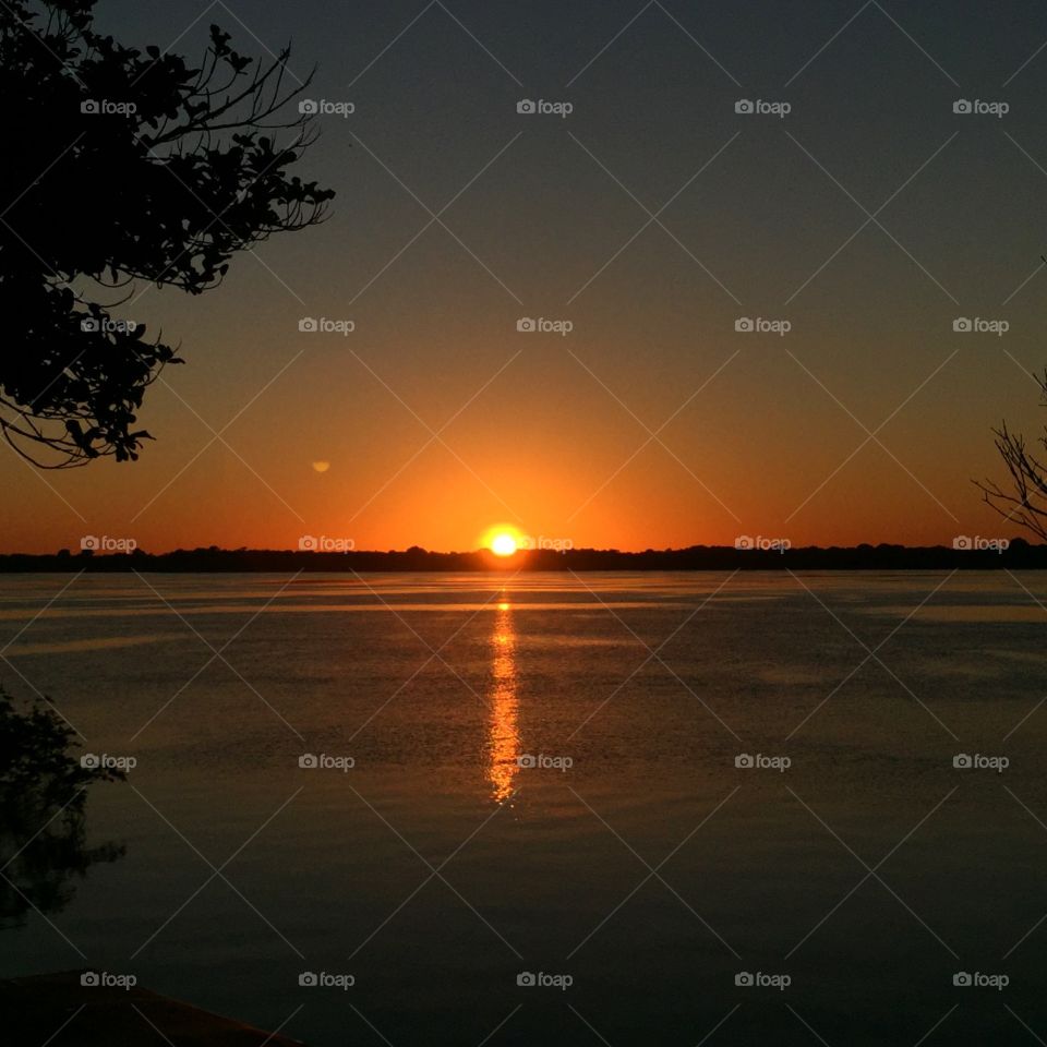 Dawn in Black River Archipelago Anavilhanas 