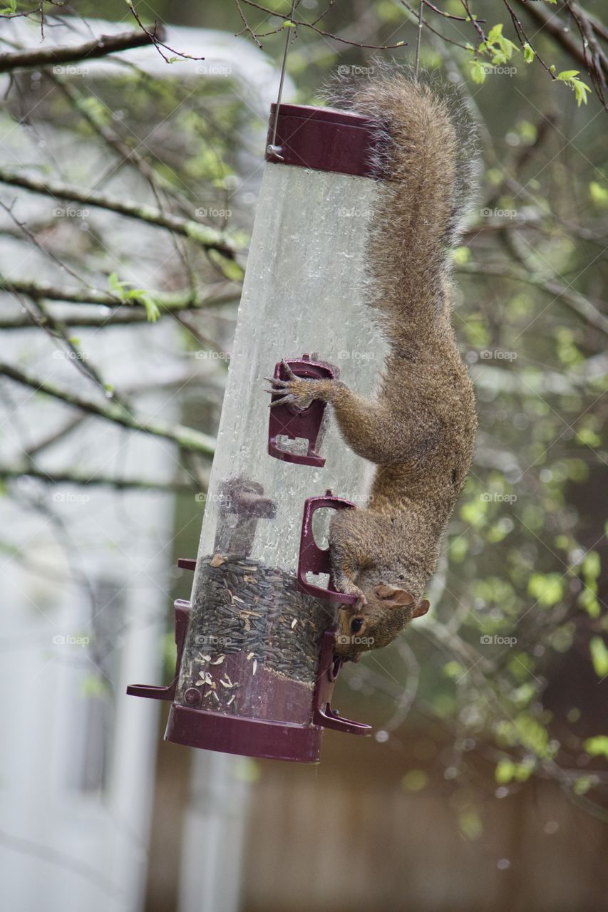 Where there's a will...