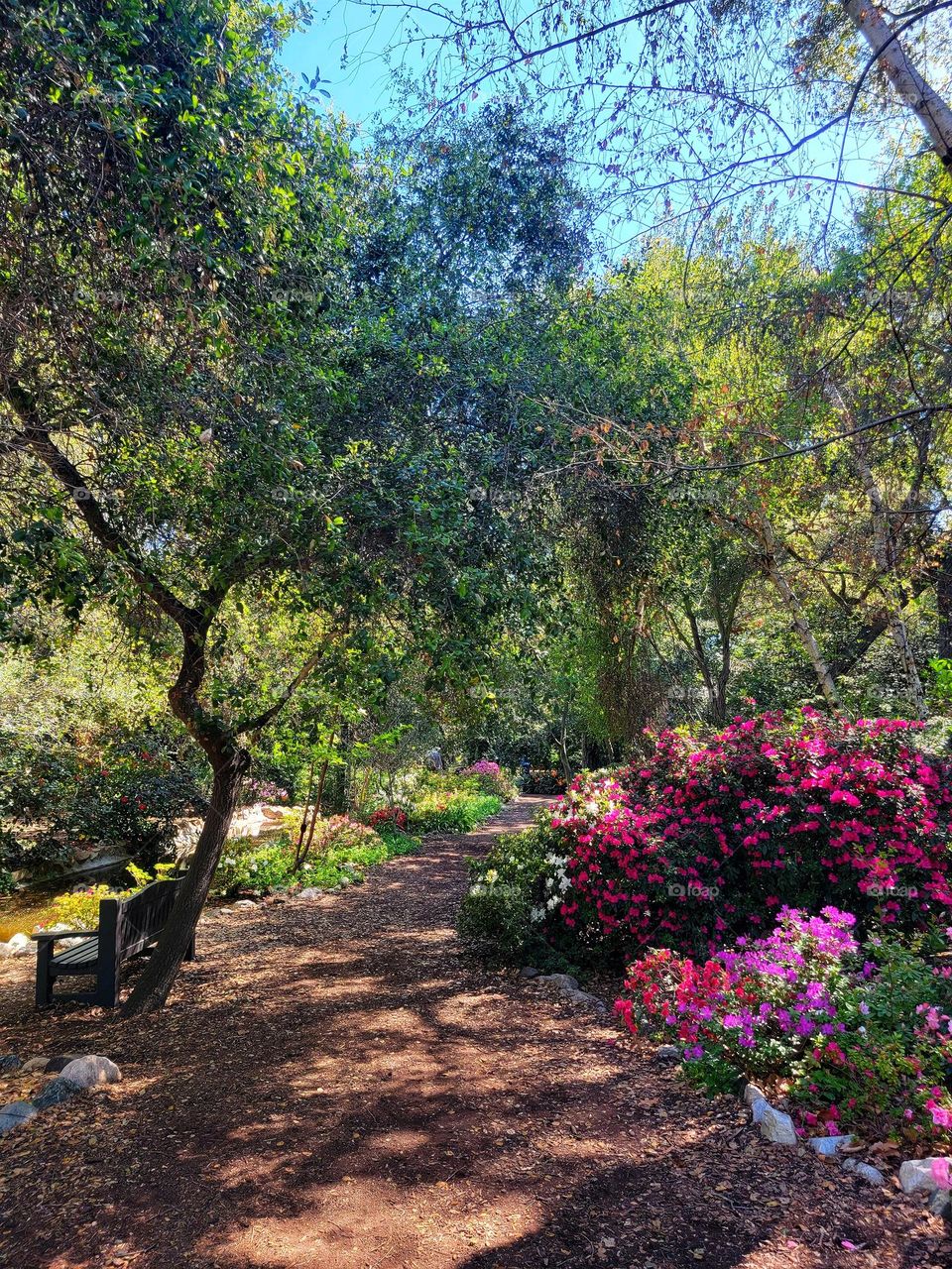 A Walk in the Garden