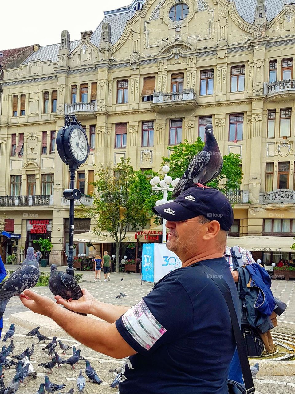 the man and the pigeons