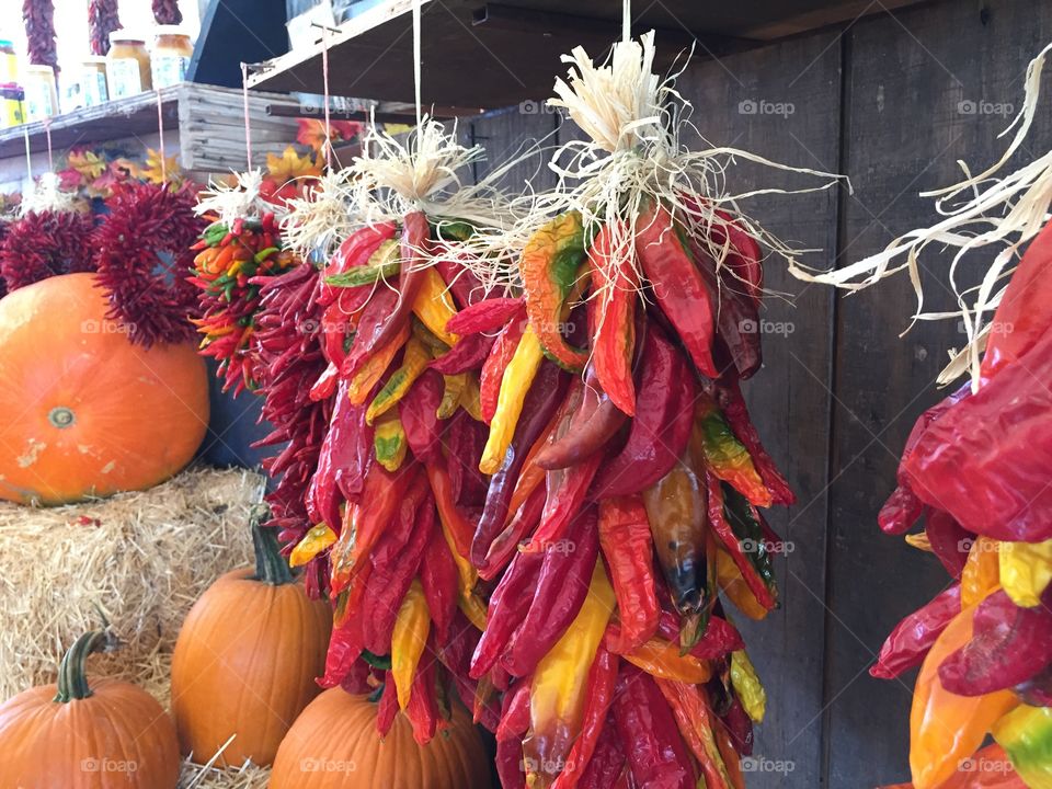 Colorful dried peppers hanging decoration