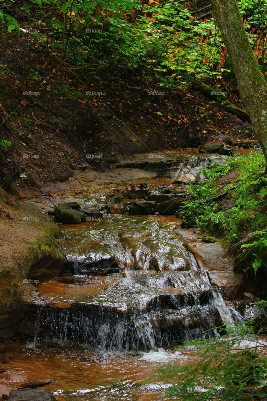 No Person, Water, Wood, Waterfall, Nature