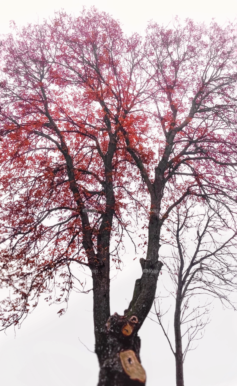 A photo without words