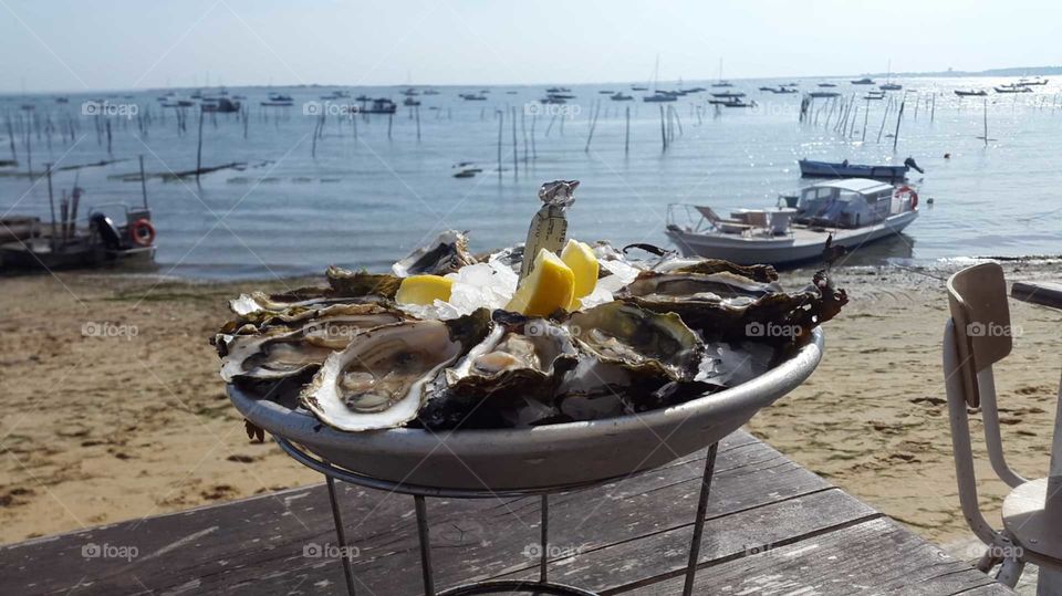 Sea, oyster,beach, summer