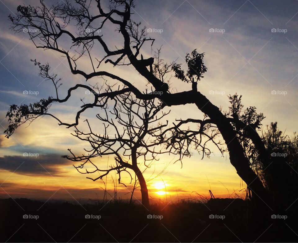 🌅Desperte, #Jundiaí!
Ótima 6a feira a todos.
🍃
#sol #sun #sky #céu #photo #nature #morning #alvorada #natureza #horizonte #fotografia #paisagem #inspiração #amanhecer #mobgraphy #mobgrafia #FotografeiEmJundiaí