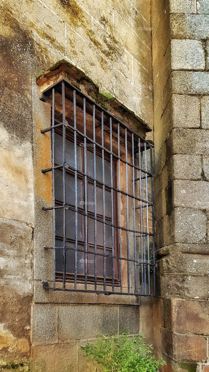 window