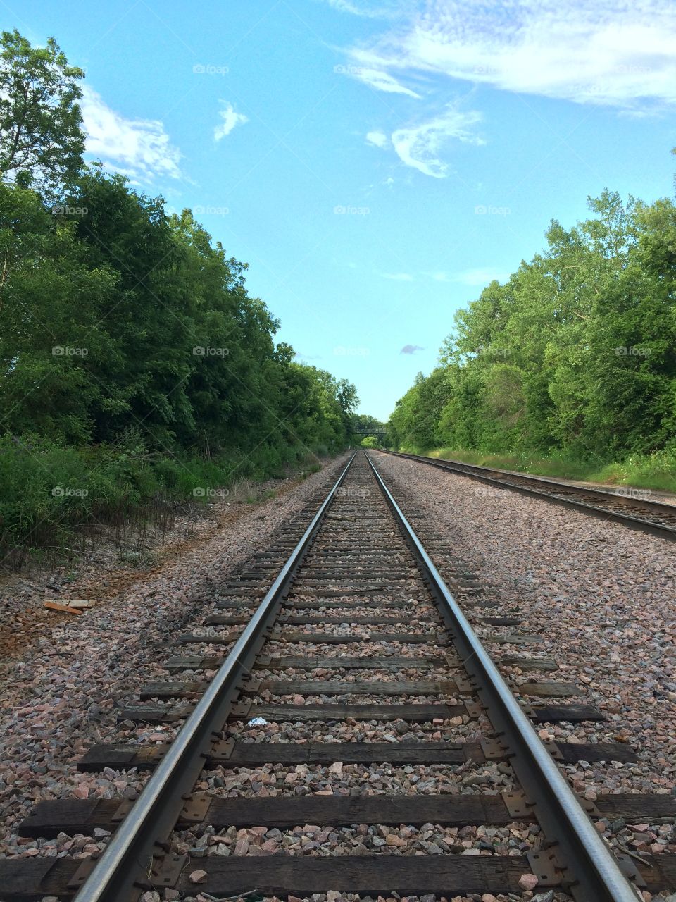 Train tracks in the wilderness 