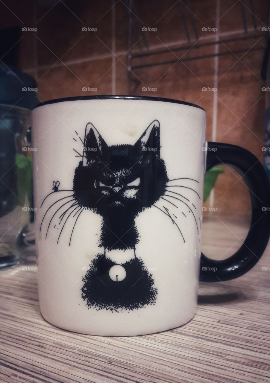 Cup cool focus cat pet Art visage tea Coffee served drink view table day part tea time herbal ceremony