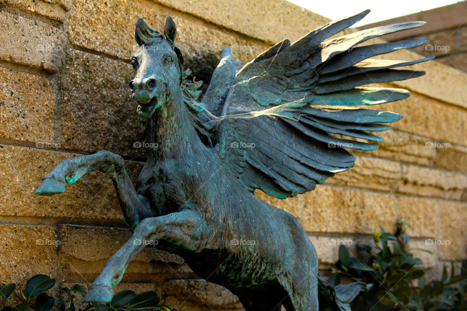 PEGASUS