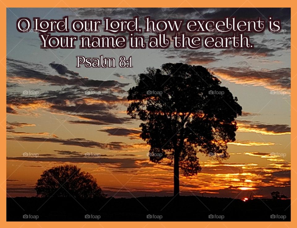 Sunset Tree and Scripture