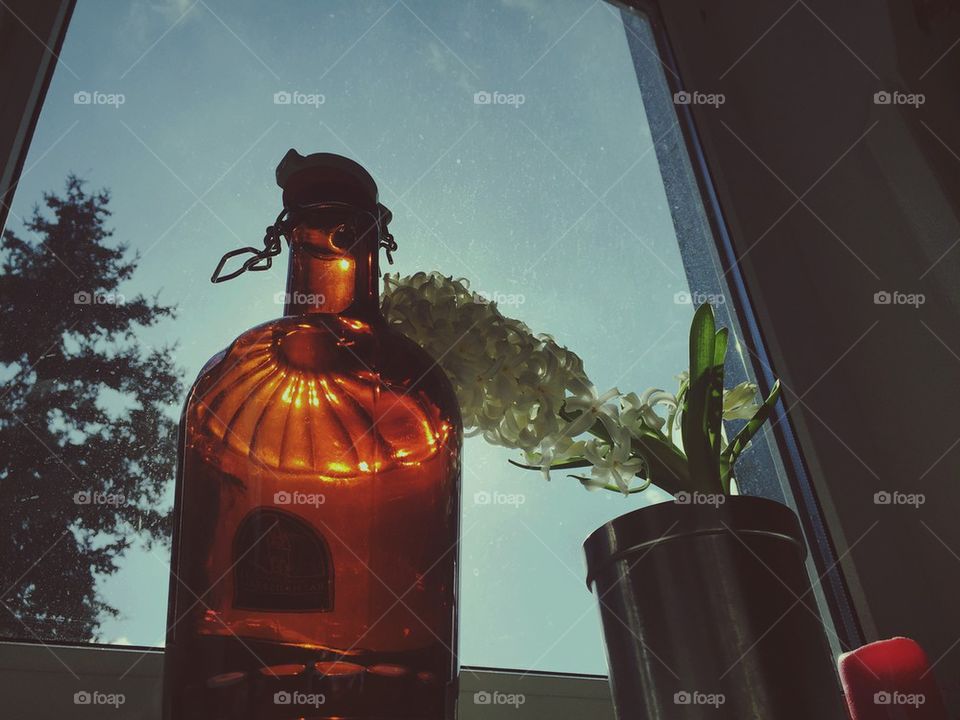 Bottle and flower in kitchen 