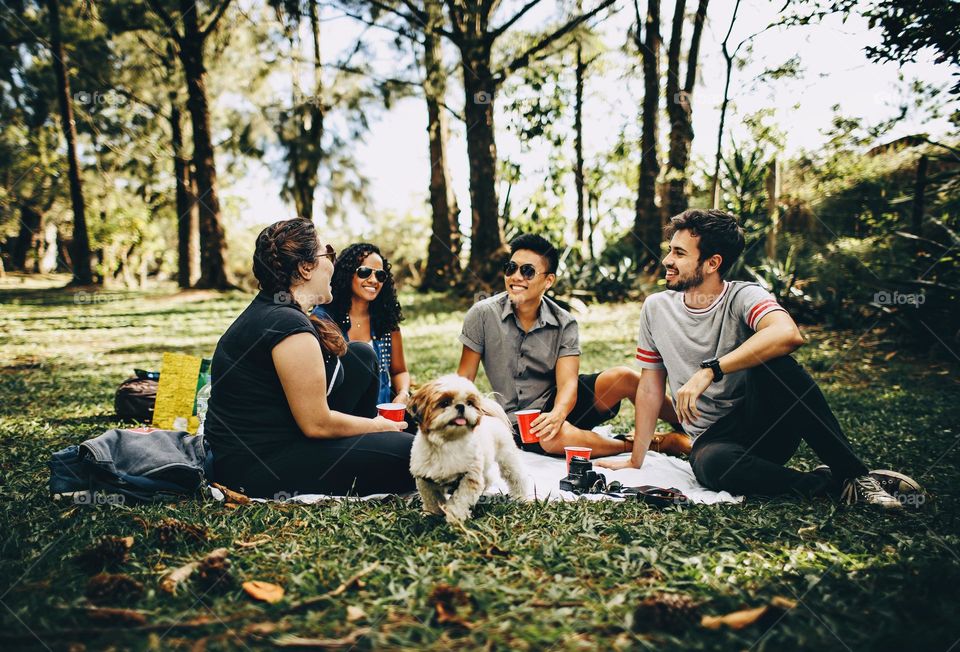 Picnic Mission | picnic | Outdoor