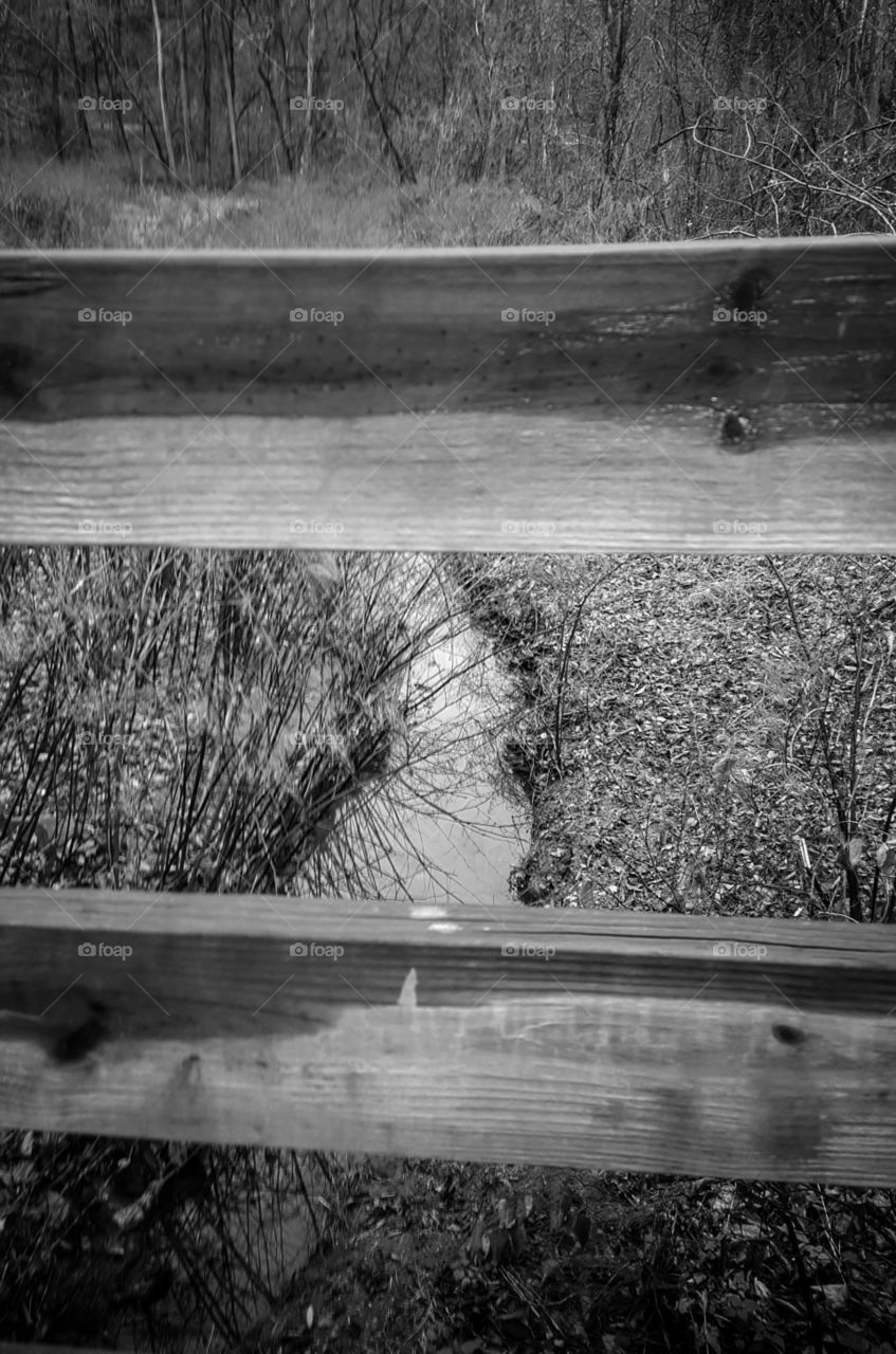 Wood, No Person, Empty, Water, Nature