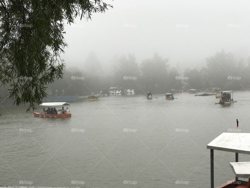 Fog and the lAke