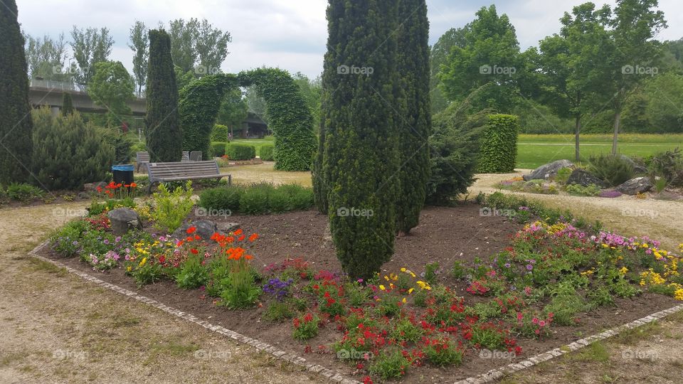 Atrakrive Büsche. wunderschön Geschnitten