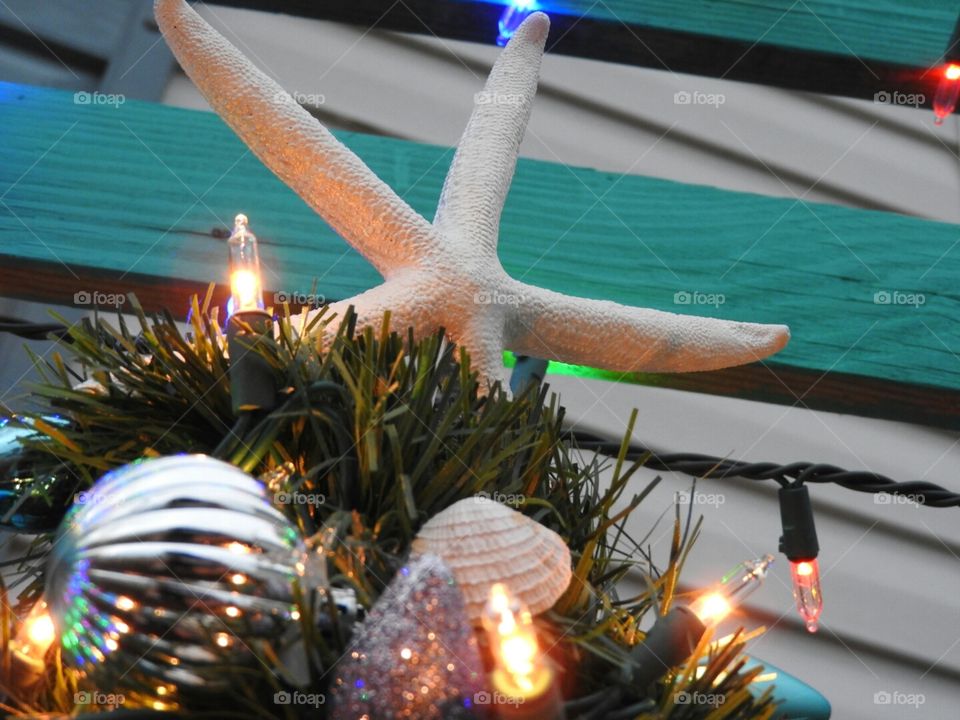 Not all stars are in the sky. Twinkle, twinkle little starfish.